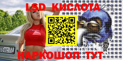гашик Новодвинск