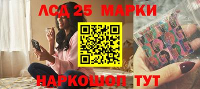 гашик Новодвинск