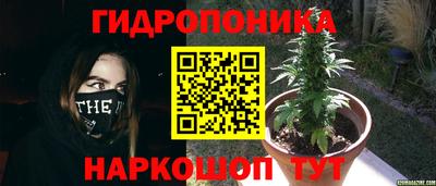синтетический гашиш Новокубанск
