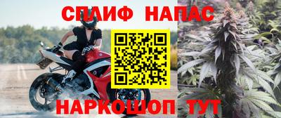 гашик Новодвинск