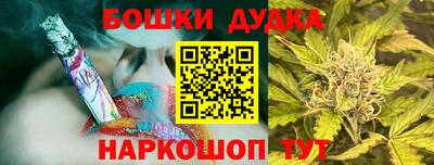 гашик Новодвинск