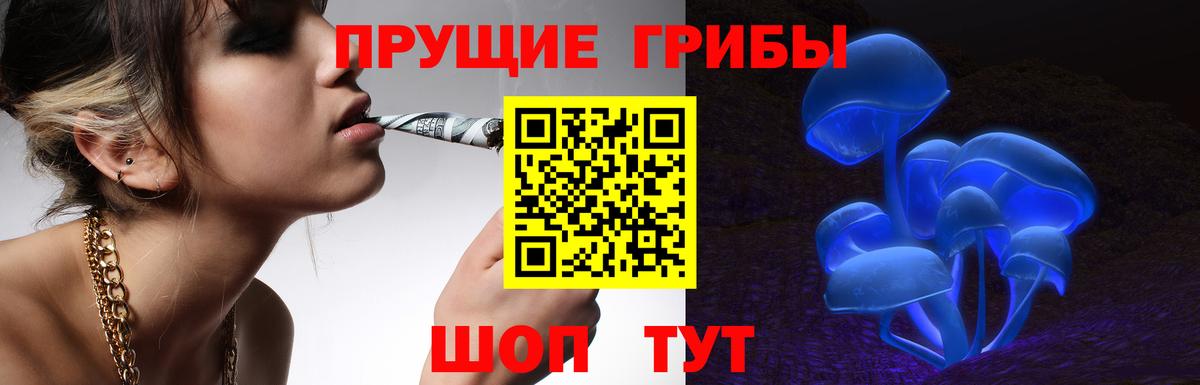 Северск  Псилоцибиновые грибы прущие грибы  Вход с VPN 